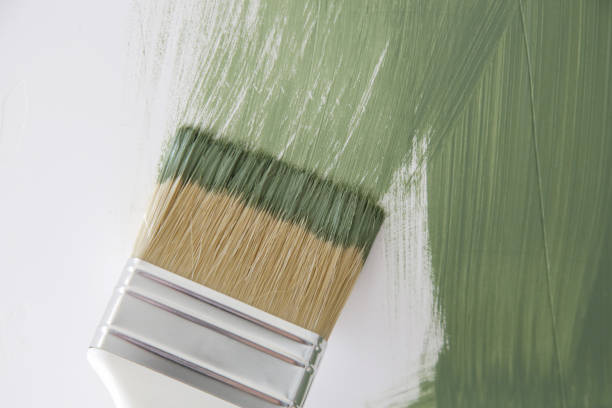 Best Black Mold Removal  in Cambridge, MA