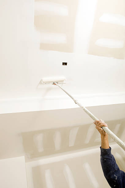 Best Mold Odor Removal Services  in Cambridge, MA